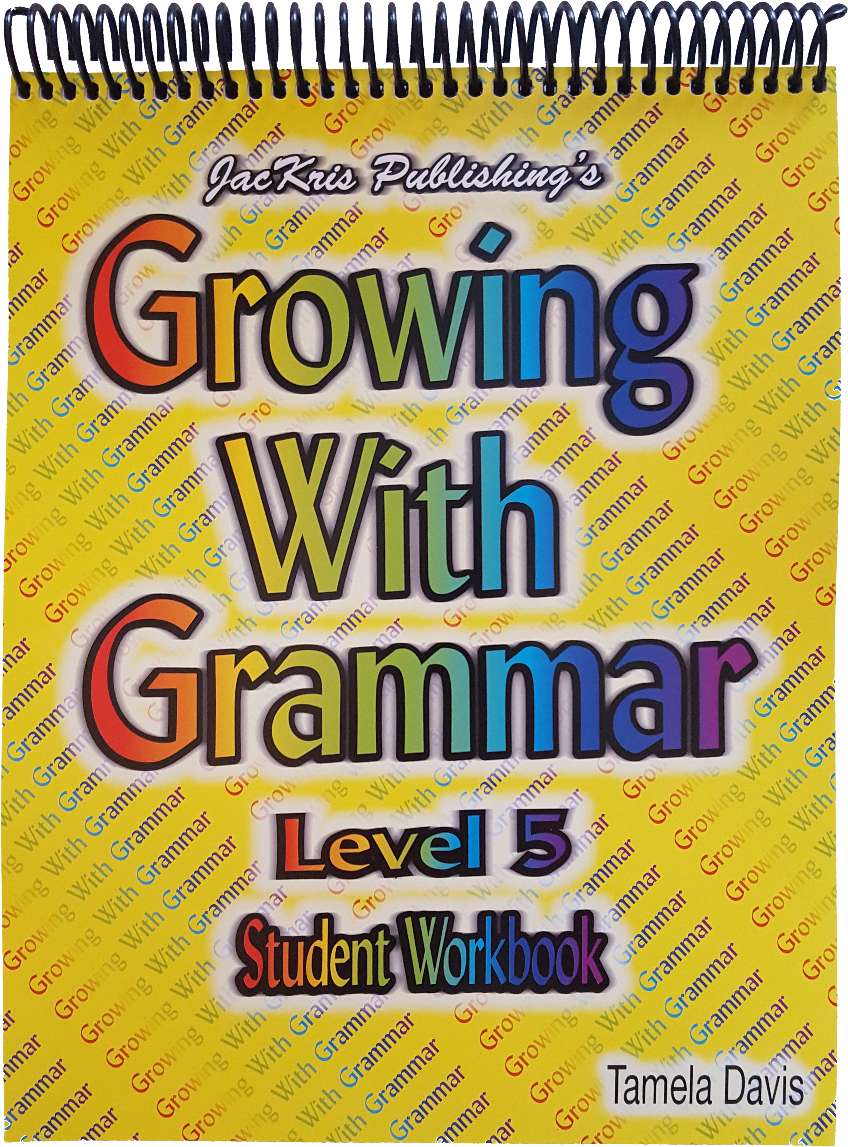 Grammar in Context， 5/e Book 2 : Online Workbook [ペーパーバック] Grammar In Context 2: Student Book and Online Practice – NGL